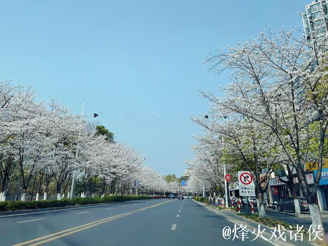 樱花发文:可惜了,兄弟们春季赛加油 樱花发文:可惜了,兄弟们春季赛加油